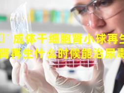 🐴 成体干细胞肾小球再生（干细胞肾再生什么时候能治尿毒症）